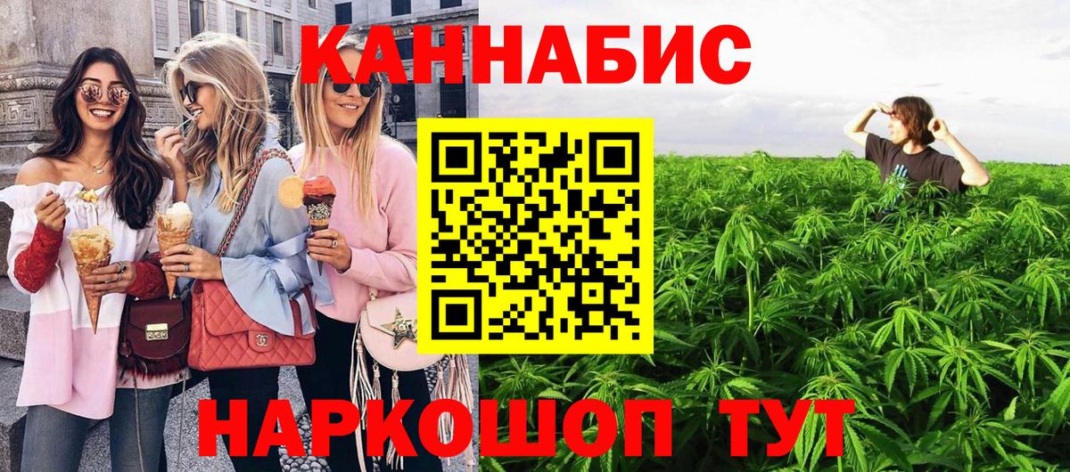Шишки марихуана конопля Северобайкальск